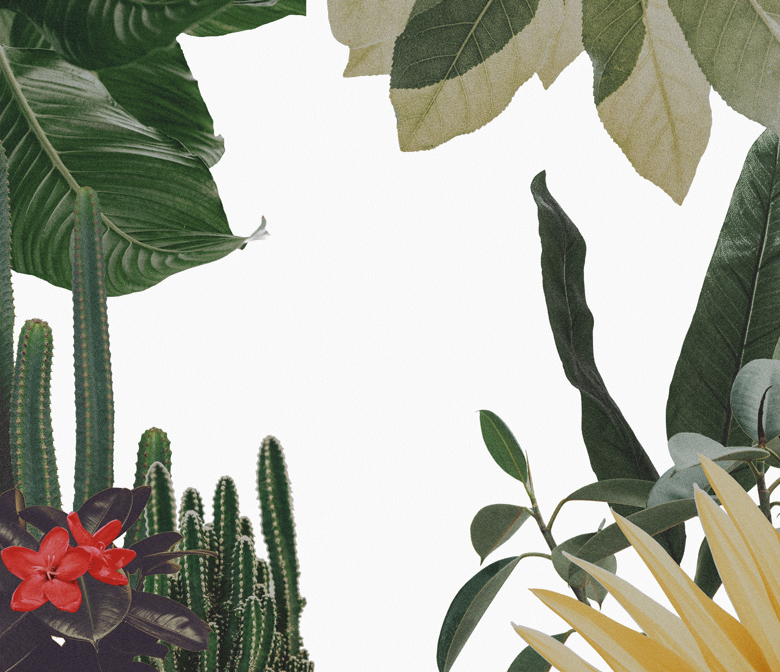 headerbg_3dark