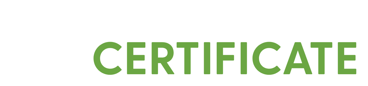Main Page Promos | Kingdom Starter